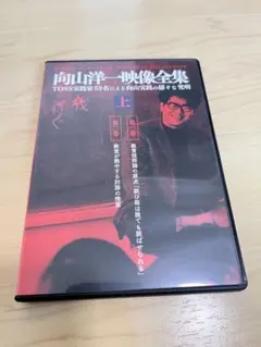 2026年最新】向山洋一 dvdの人気アイテム - メルカリ