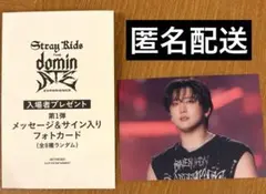 Stray Kids dominATE 映画 入場特典 フォトカード チャンビン - メルカリ