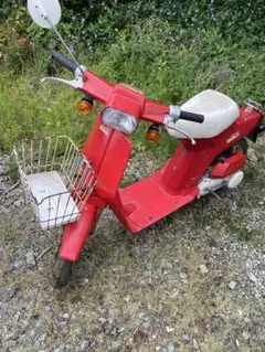 茨城県古河市から 美車！ ホンダスカイ - メルカリ