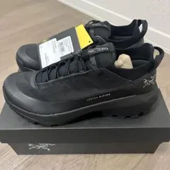 正規品・未使用 ARC'TERYX VERTEX ALPINE W 24cmのサムネイル