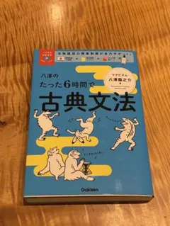 あやっち様専用