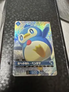 ペンタマ　OSR