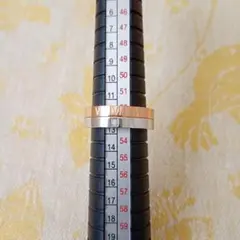 Item thumbnail for item 16bee599-66c5-447d-a432-4fa417ca40dc