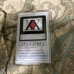 HUNTER×HUNTER ハンターライセンス キーホルダーのサムネイル