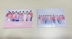 SEVENTEEN Haru トレカ 2019年日本ツアー