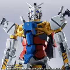 ADA ガットストーン 8kg【箱売り】 - メルカリ