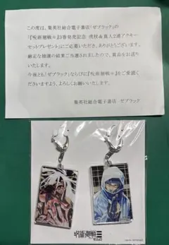 呪術廻戦モジュロ 虎杖＆真人 アクリルキーホルダー 2連 ゼブラック