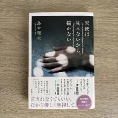 天使は見えないから、描かない／島本理生