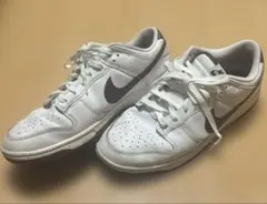 NIKE スニーカー　メンズ　29センチ