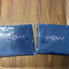 ディズニー アンバサダーホテル　エコバッグ