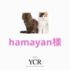 hamayan様専用　ぷっくりネームボード　オーダー　BTS JIN