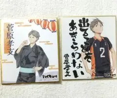 ハイキュー ミニ色紙コレクション 菅原孝支セット