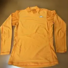 Item thumbnail for item 3909f152-78c4-4d2e-bd22-d424ad9be4ff