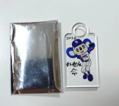 中日ドラゴンズ　アクリルストロータグ　ドアラのサムネイル