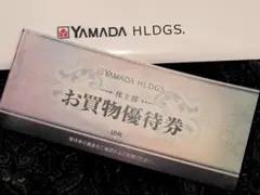 YAMADA HLDGS. 5000円
