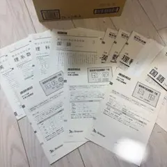 駿台学力判定模試 進研模試 大学入試模試 過去問セットのサムネイル