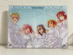 五等分の花嫁 2層 アクリルプレート ED ver.