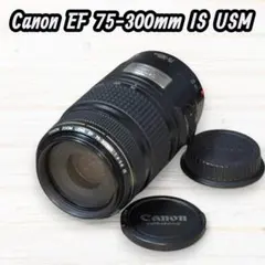 Canon ズームレンズ EF 75-300mm IS USM #287のサムネイル