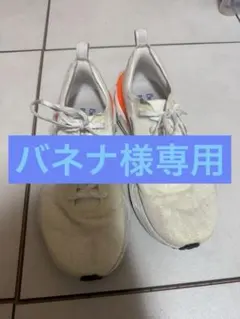 NIKE インヴィンシブル3 ブループリント　26cm