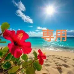 【未開封品】味の素クノールカップス－プ(３袋入)【１４箱】