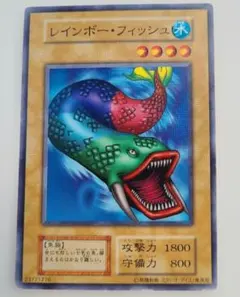 レインボーフィッシュ　初期