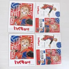 ハイキュー 日向