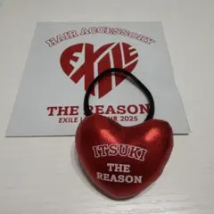 藤原樹 ヘアゴム EXILE ランペ