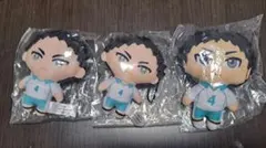 ハイキュー！！　岩泉