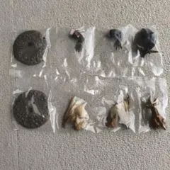 モンスターハンター 捕獲し隊3 ラージャン ディアブロス