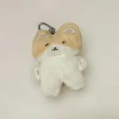 ベッキョン　トレギ4点セット Amazon.co.jp: EXO トレギ ぬいぐるみ キーリング ベッキョン : おもちゃ