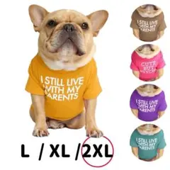 英字ロゴTシャツ　イエロー　2XLサイズ　犬服　ドッグウェア　フレブル　パグ
