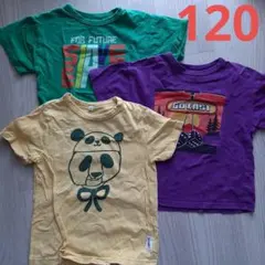 マーキーズ　Tシャツ３枚セット