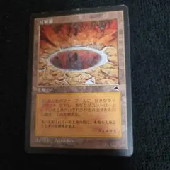 MTG 反射池 Reflecting Pool テンペスト 日本語 1枚