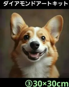 ベリーちゃん様 リクエスト 3点 まとめ商品