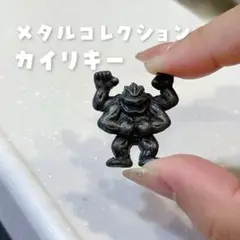 希少　美品　初代ポケモンメタルコレクション　26体 2025年最新】ポケモン 初代メタルコレクションの人気アイテム