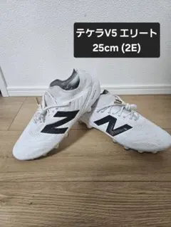 数回着用 ニューバランス テケラV5 エリート 25cm(2E)のサムネイル