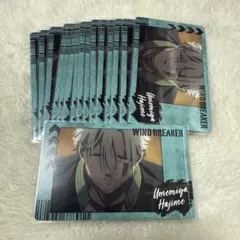 WIND BREAKER 梅宮一 ウィンブレ スナマイ 16点