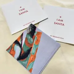 Benoit Francois | UNITED ARROWS | ハンカチ