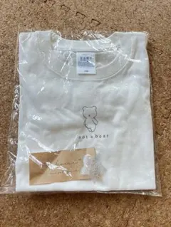 Item thumbnail for item 328cdf1c-784e-4198-8331-4b3bfdac647f