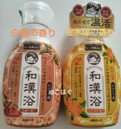 【新品/入浴剤】アシュラン　ASSURAN 貴肌湯　500ml×3本セット Amazon | 貴肌湯 (II) 浴用化粧料 500ml 1本 プラノ アシュラン 3186