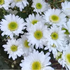 ソラ様 リクエスト 3点 まとめ商品