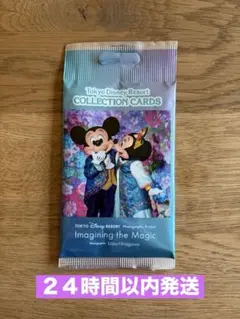 新品　イマジニングザマジック　コレクションカード　ディズニー　ＦＳ
