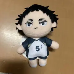 ハイキュー　赤葦京治　マスコットぬいぐるみ