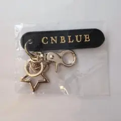 CNBLUE SHINTOUYA ゴールドバッグチャーム　　キーホルダー