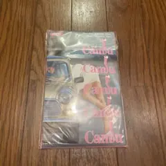 福助 サポートパンガードル カミュ Mサイズ レトロベージュ