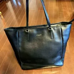 Item thumbnail for item 2d16ff7e-aaa5-4d8d-ac56-82b69f2dc65c