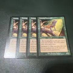 Basking Rootwalla 英語　MTG 日を浴びるルートワラ