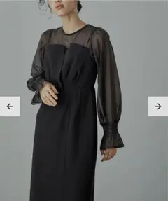 niana epic dayビスチェ風ボリュームスリーブシフォンドレス結婚式