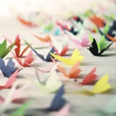 3489 POCO様専用ページ