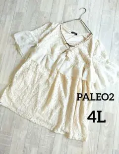 大きいサイズ 4L レース フリル チュニック 森ガール フェアリーグランジ